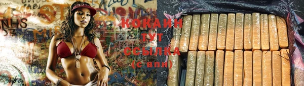 круглые Алзамай