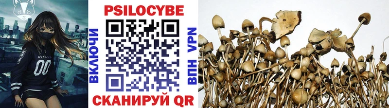 наркошоп  mega как зайти  Галлюциногенные грибы Psilocybe  Андреаполь 