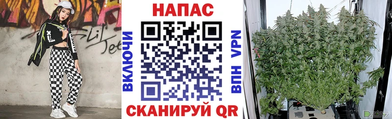 МАРИХУАНА SATIVA & INDICA мега tor Андреаполь